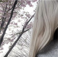 the back of a woman's head with long blonde hair and trees in the background