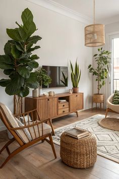 a living room filled with furniture and plants