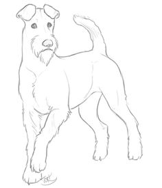 a drawing of a dog that is looking at the camera