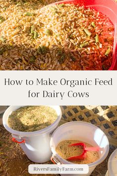 how to make organic feed for dairy cows