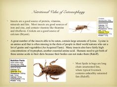 an insect with information about it