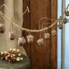 an arrangement of acorns hanging from a tree branch in front of a window