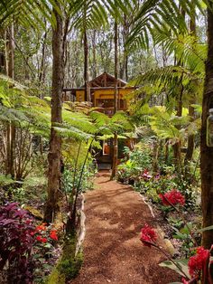 a pathway leading to a house in the woods with lots of trees and flowers around it