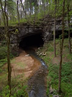 a small stream running into a cave in the woods