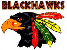 a black hawk with feathers on it's head and the words blackshawks