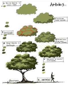 an image of trees with different types of leaves and branches on the top, below them