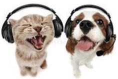 two dogs and a cat wearing headphones with their mouths open, one is laughing