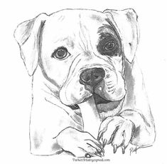 a drawing of a dog's face with his paw on the nose