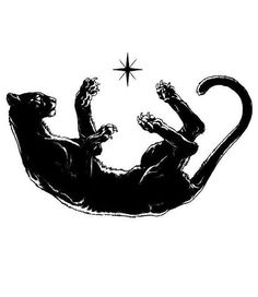 a black and white drawing of two cats laying on their back with the star above them