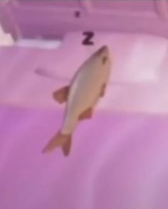 a fish is swimming in the water near a pink object with numbers on it's side