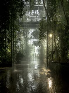 A botanical glasshouse filled with lush tropical plants during a heavy rain, with droplets falling from the ceiling and reflecting on the glossy concrete pathway beneath dim warm lighting.