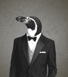 a penguin dressed in a tuxedo with the words always classy on it