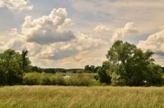 a field with trees and clouds in the background