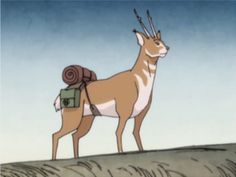 an animal standing on top of a grass covered hill