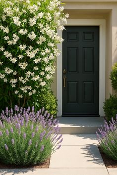 23 Inviting Curb Appeal Ideas for a Front Yard That Greets You Warmly