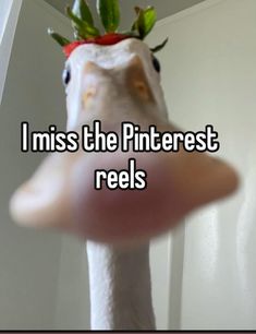a bird with a strawberry on it's head that says i miss the pinterest reels