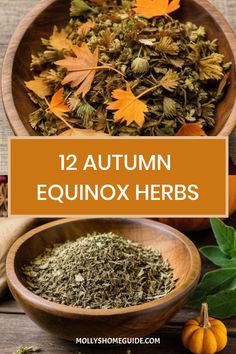 autumn equinnox herbs in wooden bowls with leaves and pumpkins on the side