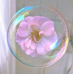 a pink flower is floating in a bubble