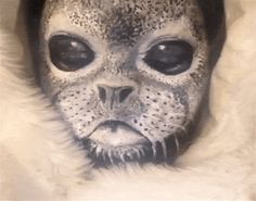 an animal with black eyes and white fur on it's head is seen in this image