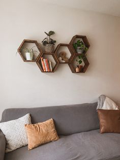 three hexagonal shelves on the wall above a gray couch with pillows and potted plants