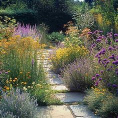 a garden with lots of different types of flowers and plants in it, including lavenders