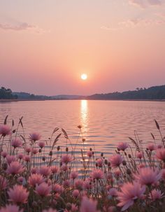 the sun is setting over some water with pink flowers