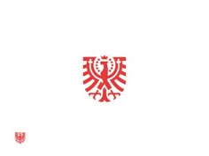 the flag of turkey is shown in red and white