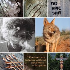 a collage of photos with words and animals