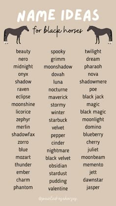 a poster with the words name ideas for black horses in different font styles and colors