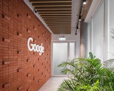 an office building with a brick wall and google logo on the front door, surrounded by plants