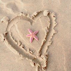 a pink starfish in the shape of a heart on sand