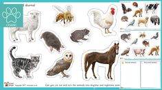 an image of animals that are cut out