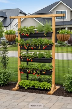 an outdoor garden with tomatoes and other plants growing on it's sides, in front of a house