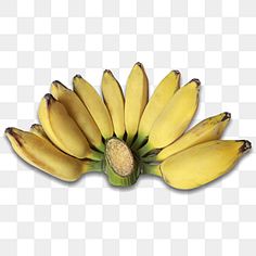 a bunch of bananas sitting on top of each other in front of a white background