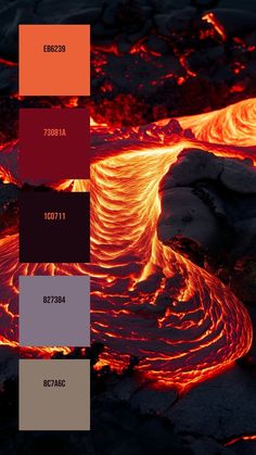 the color palettes are different from each other, but they appear to be red and orange