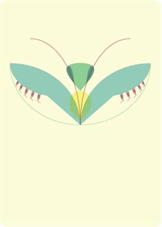 an insect with long legs and two wings