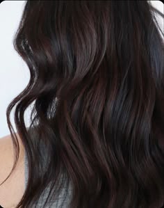 Warm Dark Brown Balayage, Brown Black Hair Color Shades, Warm Brown Black Hair, Deep Brown Black Hair Color, Dark Chocolate Highlights, Dark Chocolate Brown Balayage, Brown Almost Black Hair Color, Warm Espresso Hair Color, Darkest Chocolate Brown Hair