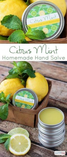 Homemade Citrus Mint Hand Salve Mint Salve Recipe, Diy Lemon Balm Oil, Hand Salve Recipe, Homemade Lemon Lavender Salve, Hand Balm Recipe, Homemade Hand Salve, Hand Salve Diy, How To Make Lemon Balm Salve, Essential Oil Salve For Hands