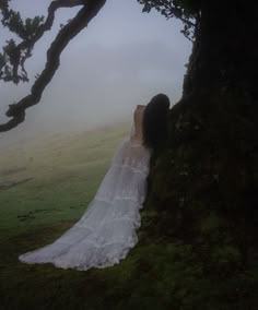 a woman in a wedding dress leans against a tree trunk on a foggy day