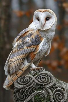 an owl sitting on top of a stone statue