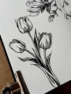 some flowers are drawn on a piece of paper