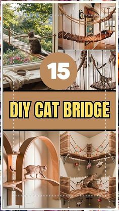 Discover the essential cat stuff every cat owner needs to ensure a happy and healthy feline life. From cozy beds to interactive toys, our curated list covers everything to keep your furry friend entertained and comfortable. Elevate your cat care routine and create a loving environment that your pet will adore. Explore must-have items for every cat lover today!