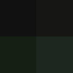 a black and green color scheme with the same hues as well as different colors