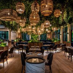 a restaurant with lots of tables and chairs in front of plants hanging from the ceiling