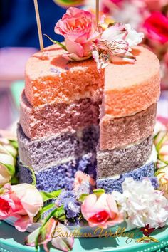 a multi - colored cake with one slice cut out and the other half eaten on a plate