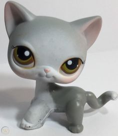 a white cat with yellow eyes sitting on the ground