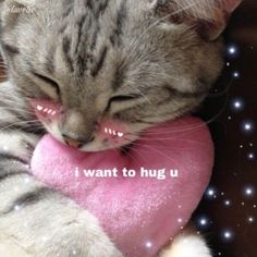 a cat is sleeping with its head on a pink heart that says i want to hug u