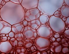 close up view of water bubbles in red