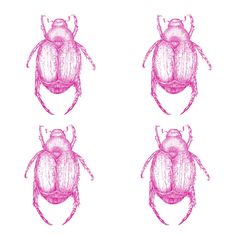 three pink bugs sitting on top of each other