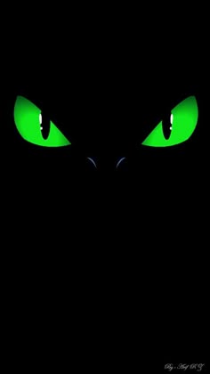 green eyes glowing in the dark